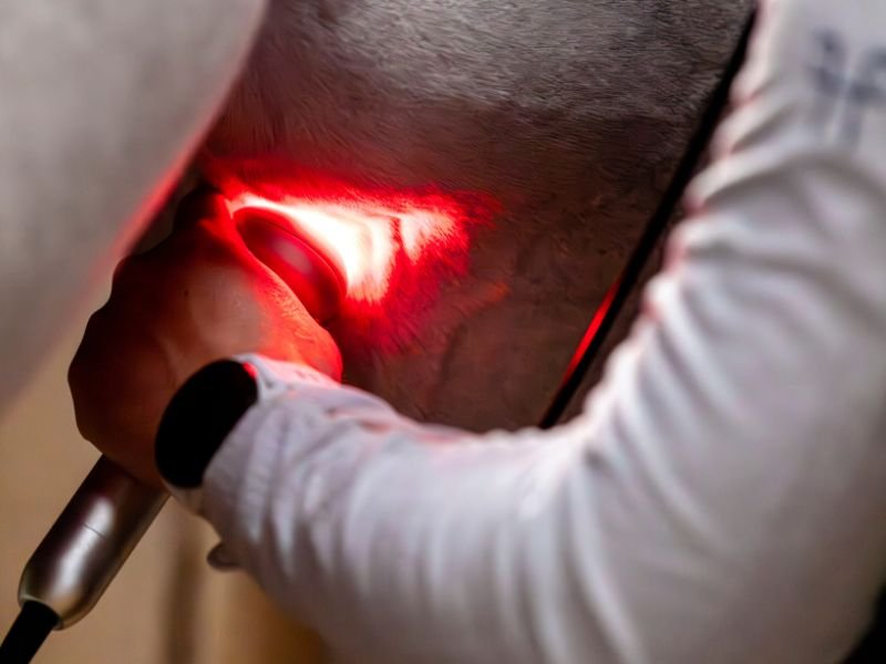 Laser thérapeutique médical pour chevaux sur Quimper