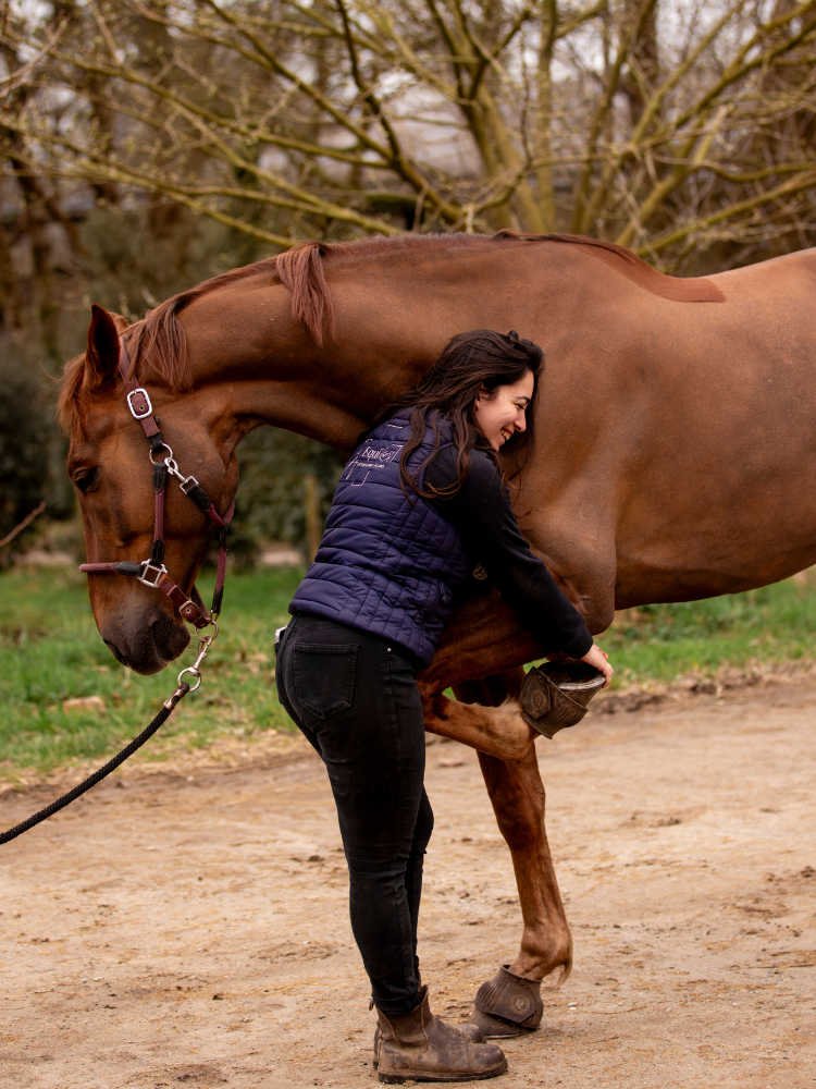 Vétérinaire équin examinant un cheval dans le Finistère